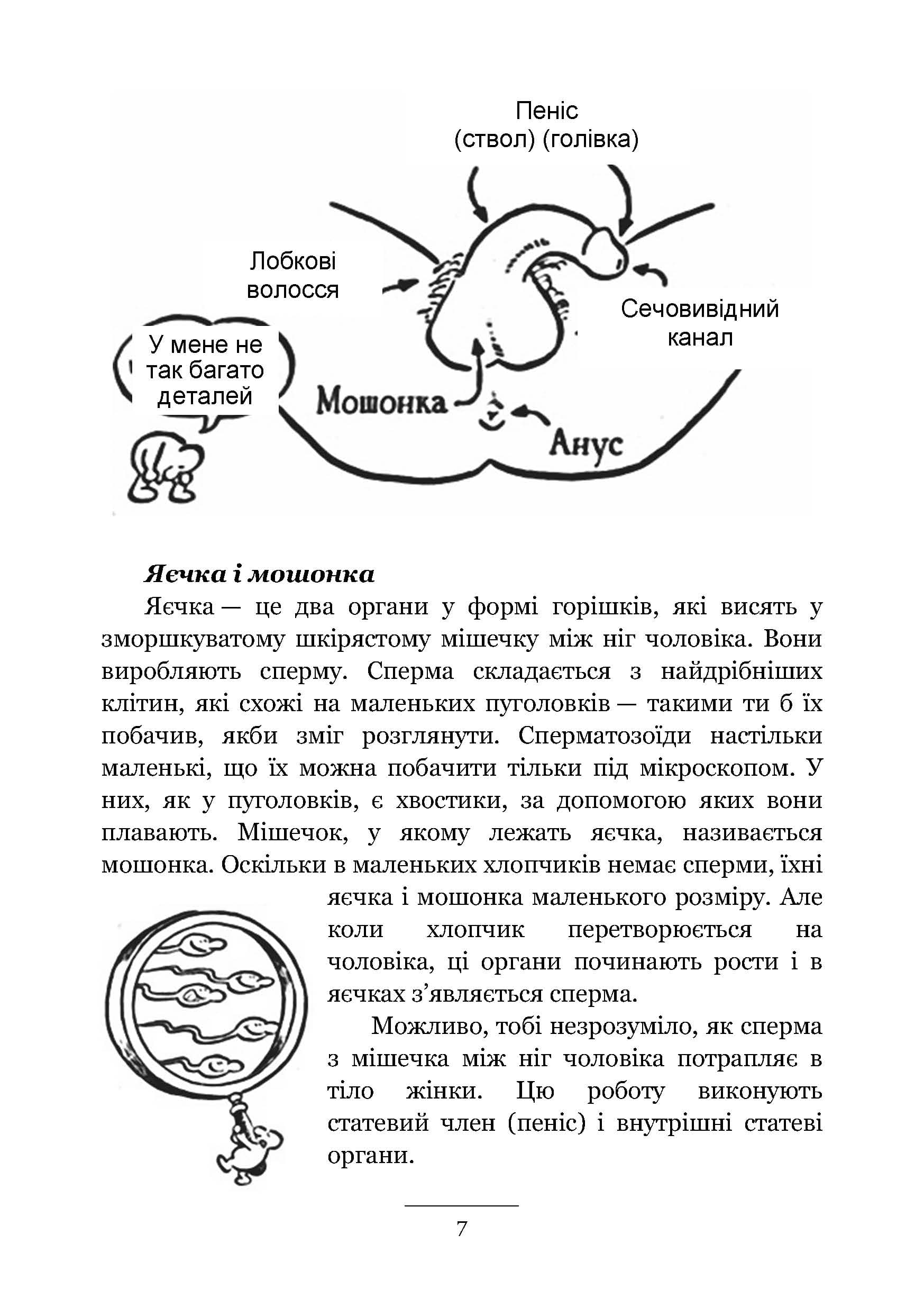 Зображення 6