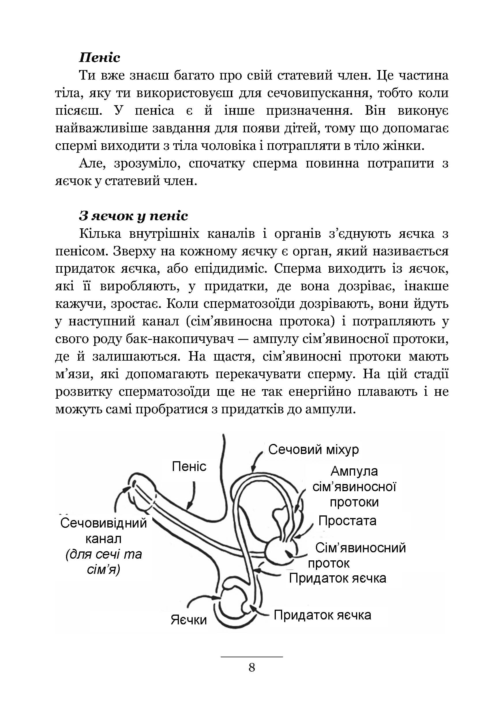 Зображення 7